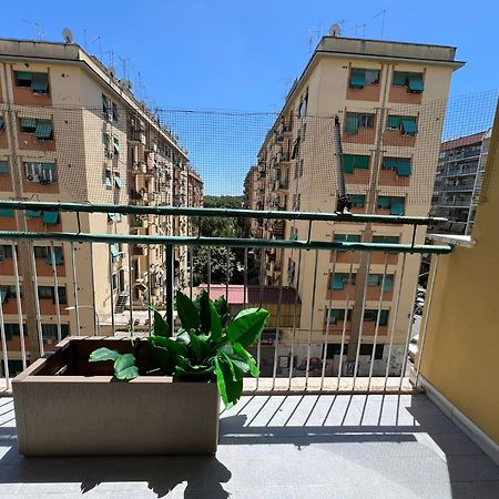 Luciano Queen'S Guest House 罗马 外观 照片